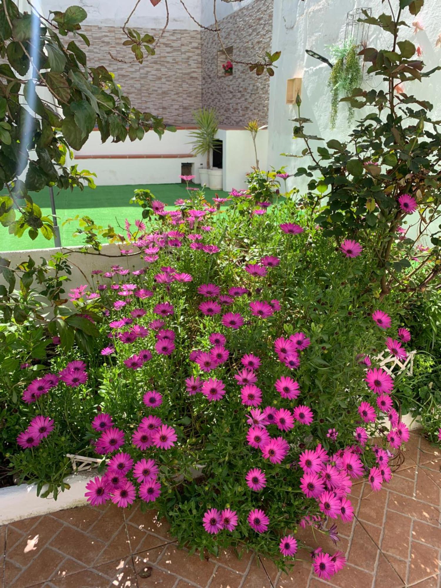 Casa Dos Tios Estremoz-Veiros Villa Eksteriør billede