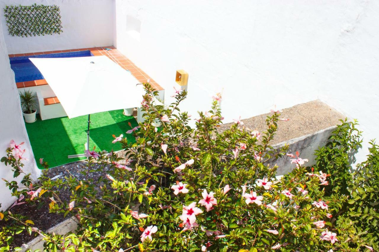 Casa Dos Tios Estremoz-Veiros Villa Eksteriør billede